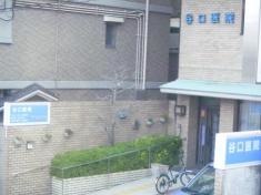 谷口医院