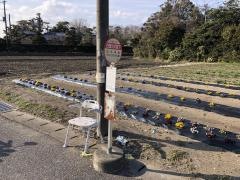 「白里火の見下」バス停留所