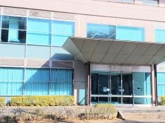 グリーン・ボイス