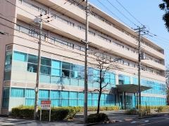 グリーン・ボイス