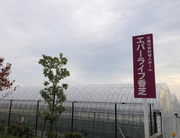 エバーライフ香芝 看板