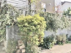 ガウディア　南風教室