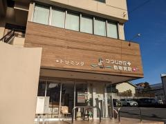 つつじが丘動物病院