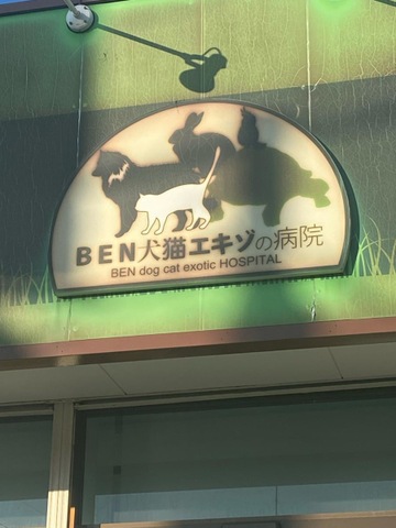 投稿写真2