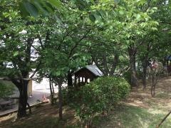 志津わかば幼稚園