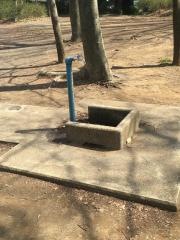 鷺沼公園