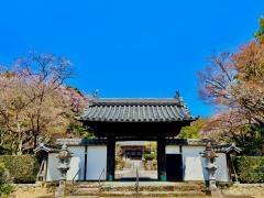 本泉寺