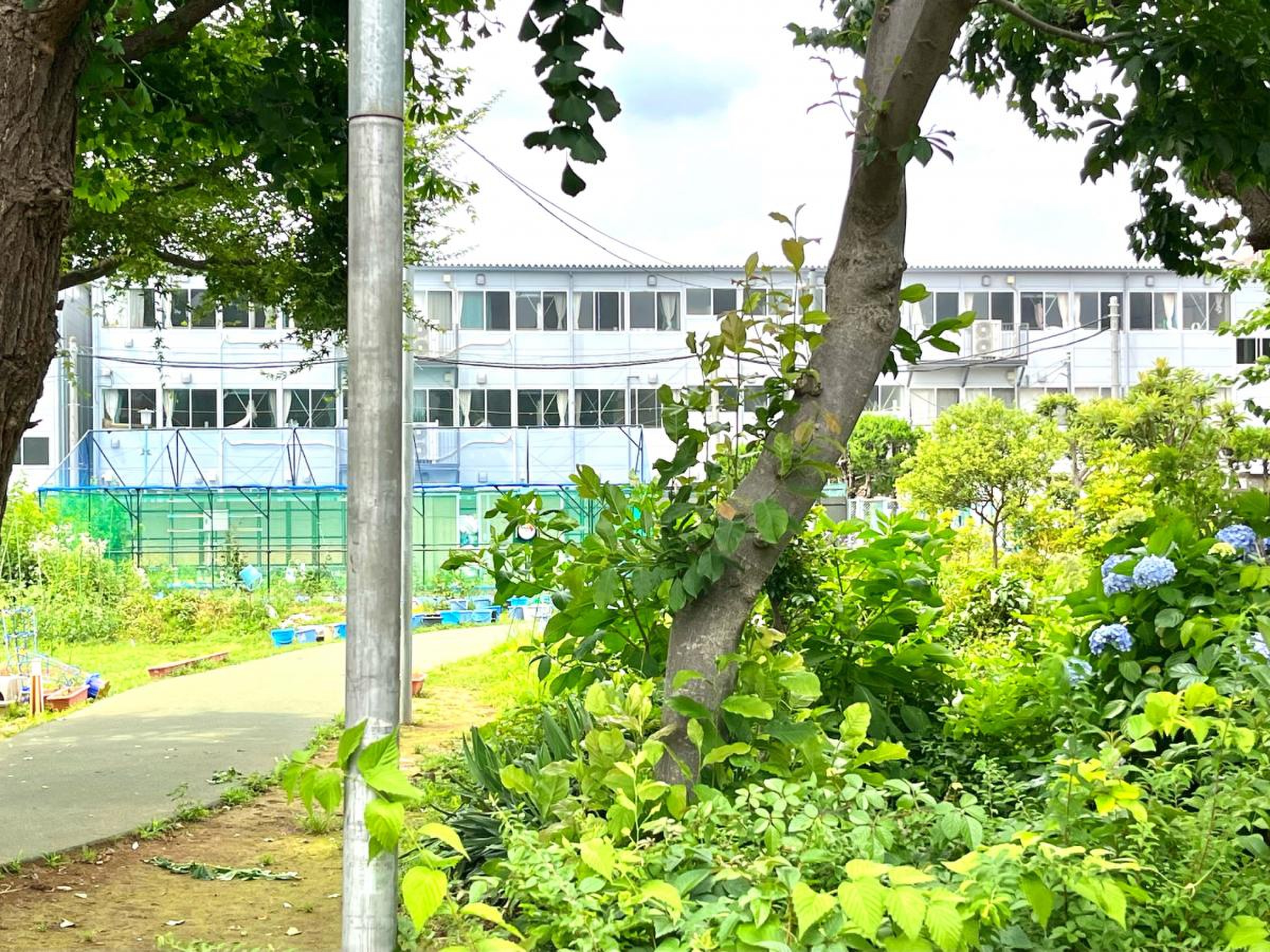 上 石神井 北 小学校