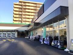 タイヤ館　玉川上水