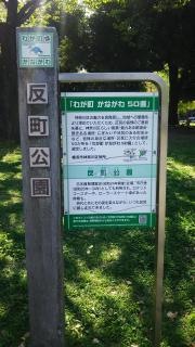 反町公園