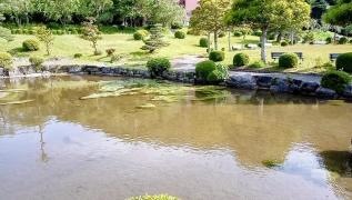 桜淵県立自然公園