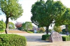 新地公園