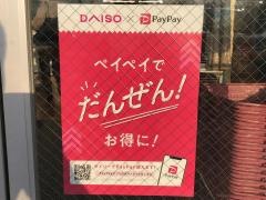 ザ・ダイソー　ＡＰ徳島大松店
