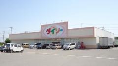 ザ・ダイソー　ＡＰ徳島大松店