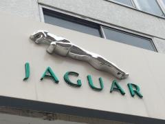 ジャガー福岡中央