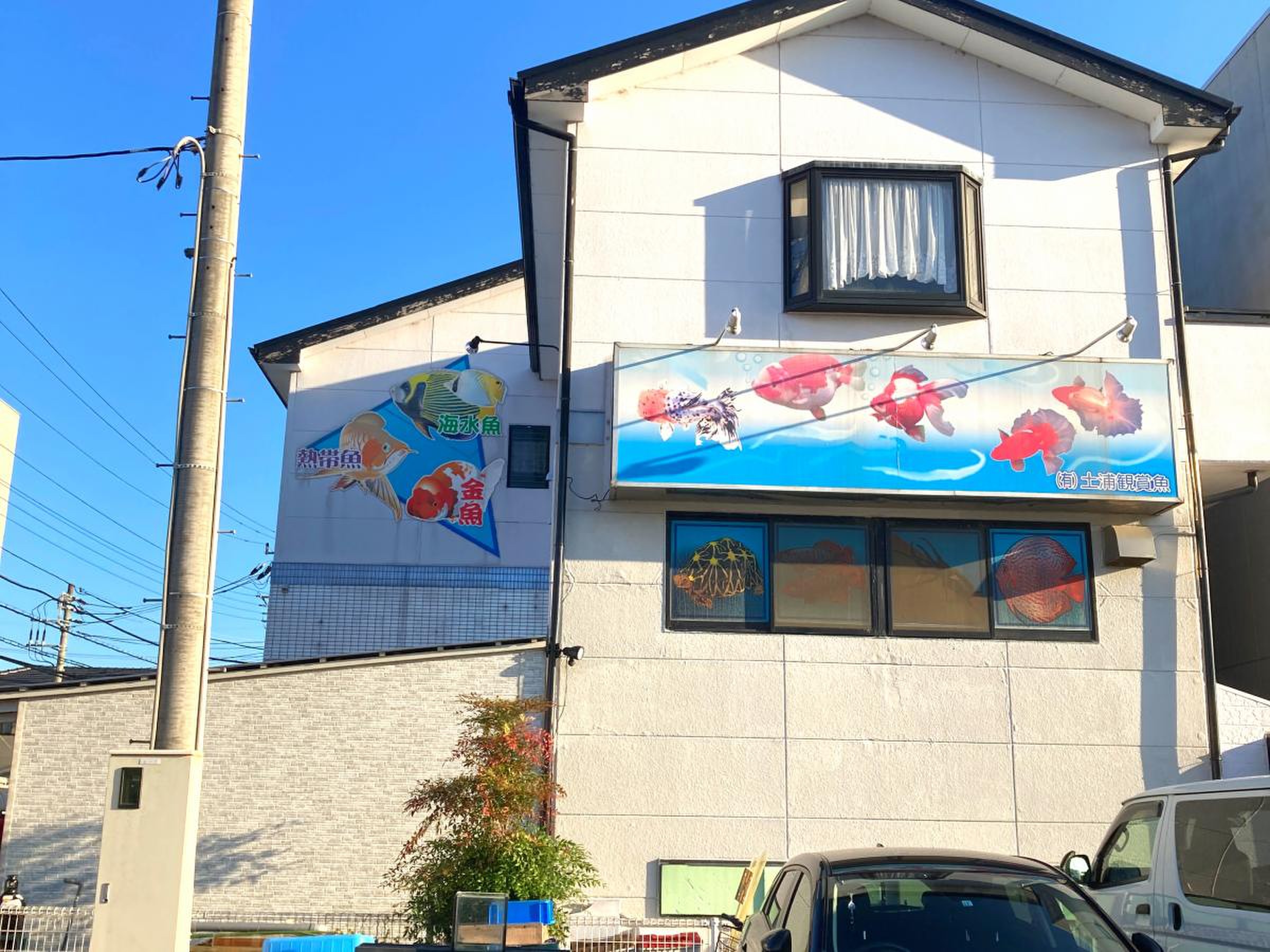 活動歴および当時の関連ビジュアル記録