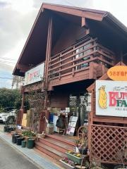 バニーファミリー　大阪店