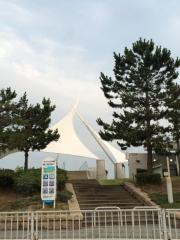 大蔵海岸