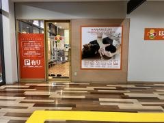 はなみずき整骨院　黒崎院
