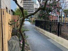西応寺