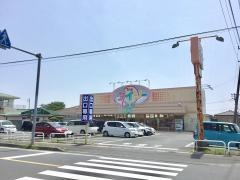 ザ・ダイソー　日立大みか店