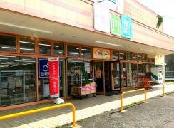 ザ・ダイソー　日立大みか店
