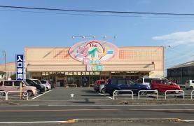 ザ・ダイソー　日立大みか店