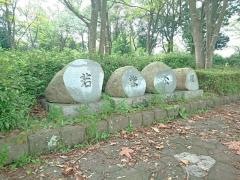 若柴公園
