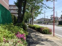 袖ケ浦遊歩道
