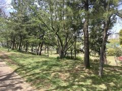 湖北台中央公園