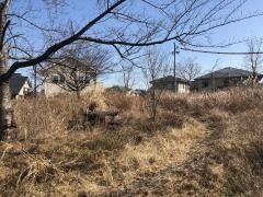 陽光台東部緑地