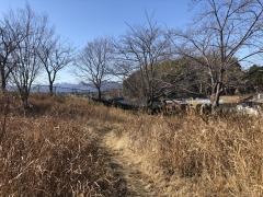 陽光台東部緑地