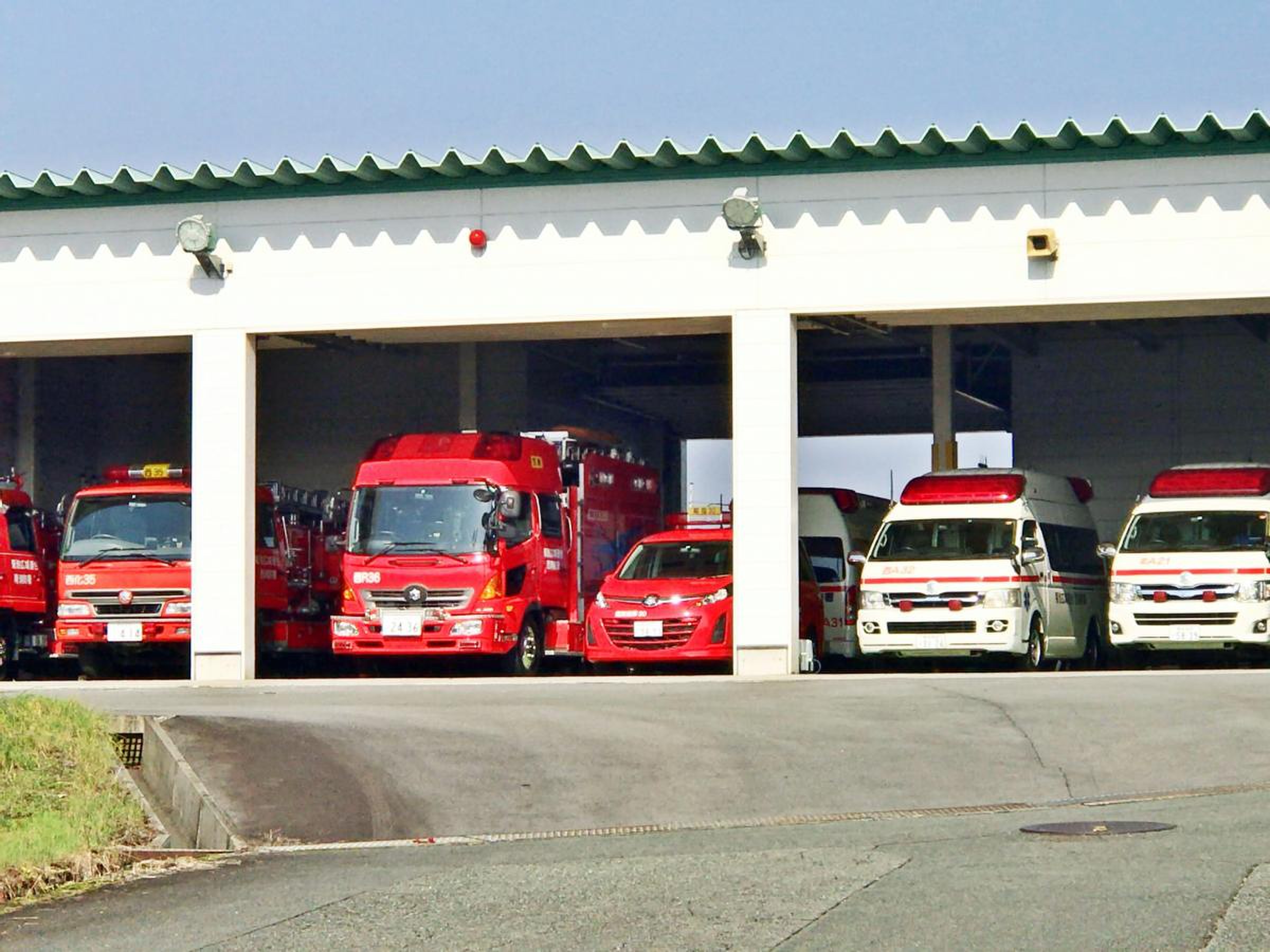 活動歴および当時の関連ビジュアル記録