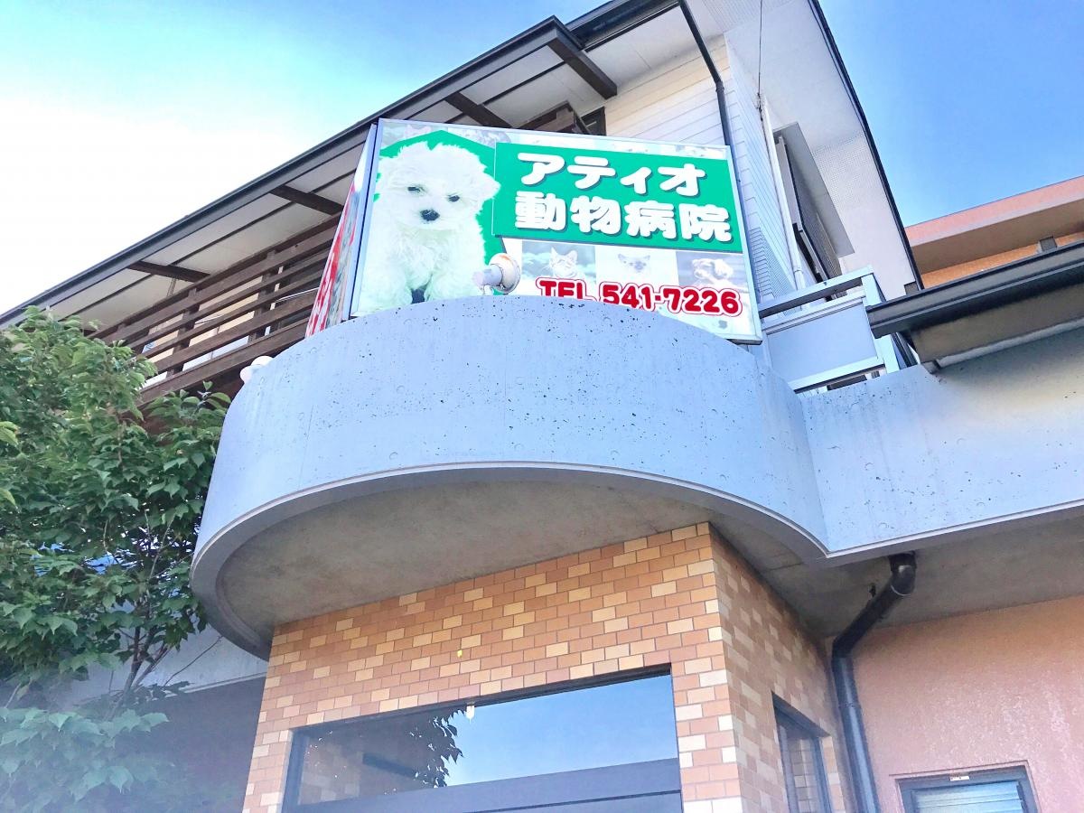アティオ動物病院