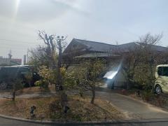 梅の花　浜松店