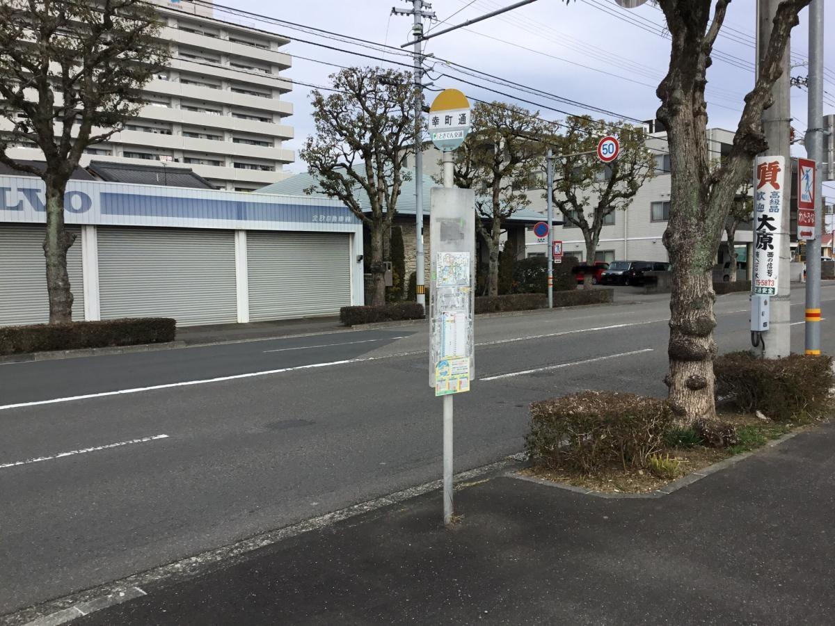 全景です。