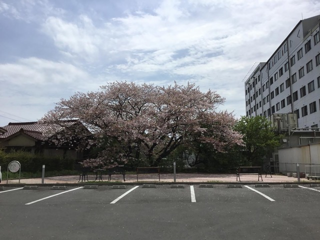 介護付有料老人ホーム　メディカルヴィラはなみずき