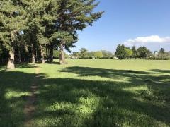 気象台記念公園