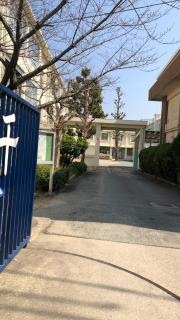 千代小学校