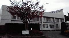 石橋整形外科