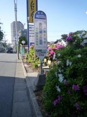 「春日町青少年館前」バス停留所