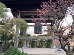 安立寺
