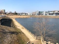 要池公園