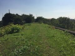 日光川街園