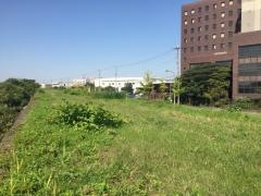 日光川街園