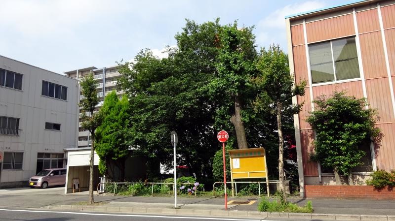 松重橋街園（東側）