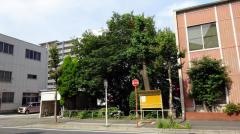 松重橋街園