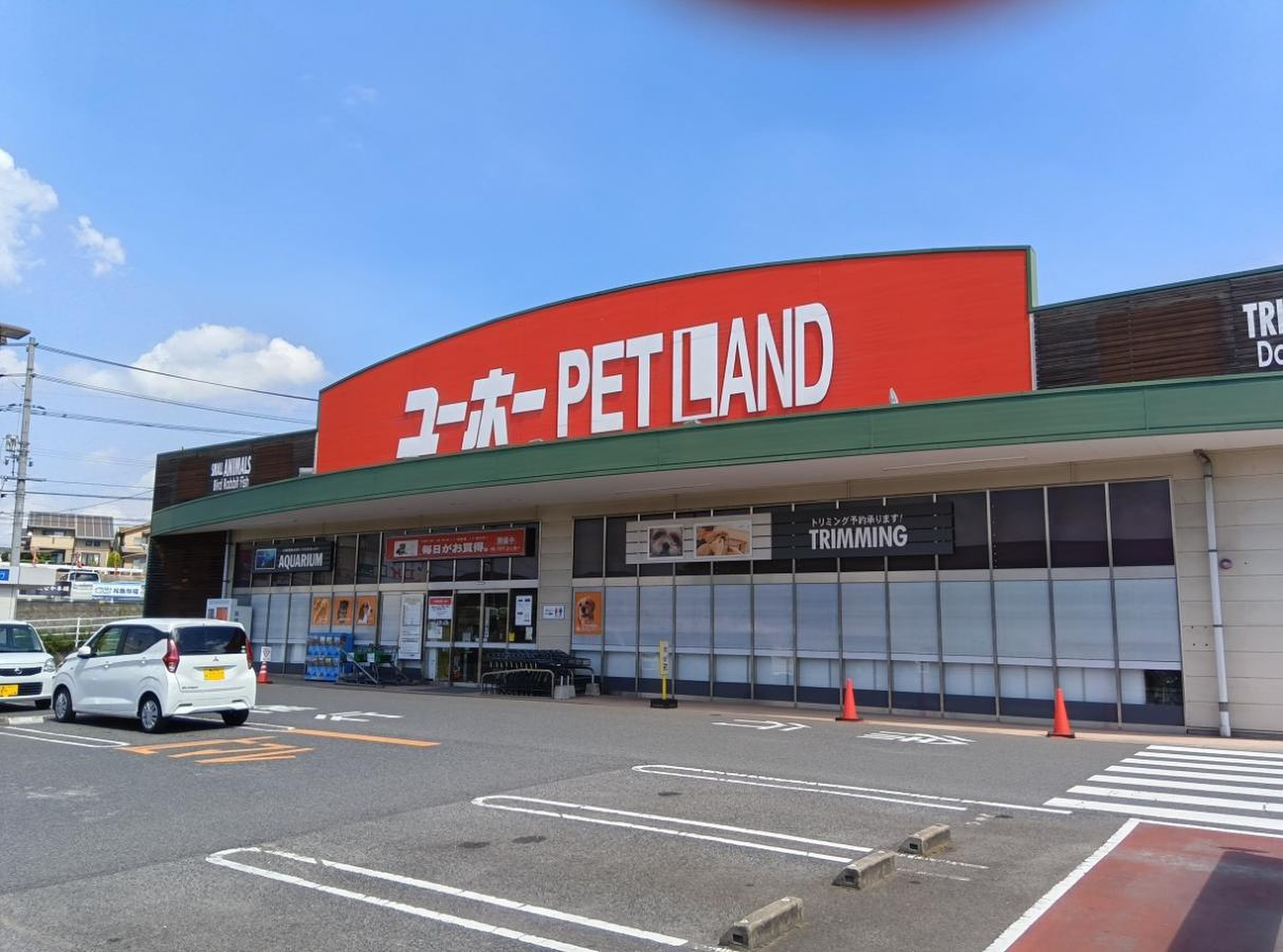 当時のメディア報道・掲載写真