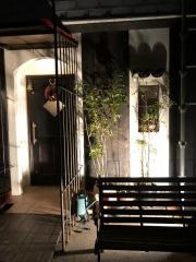 赤いトタン屋根の猫