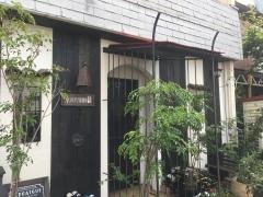 赤いトタン屋根の猫